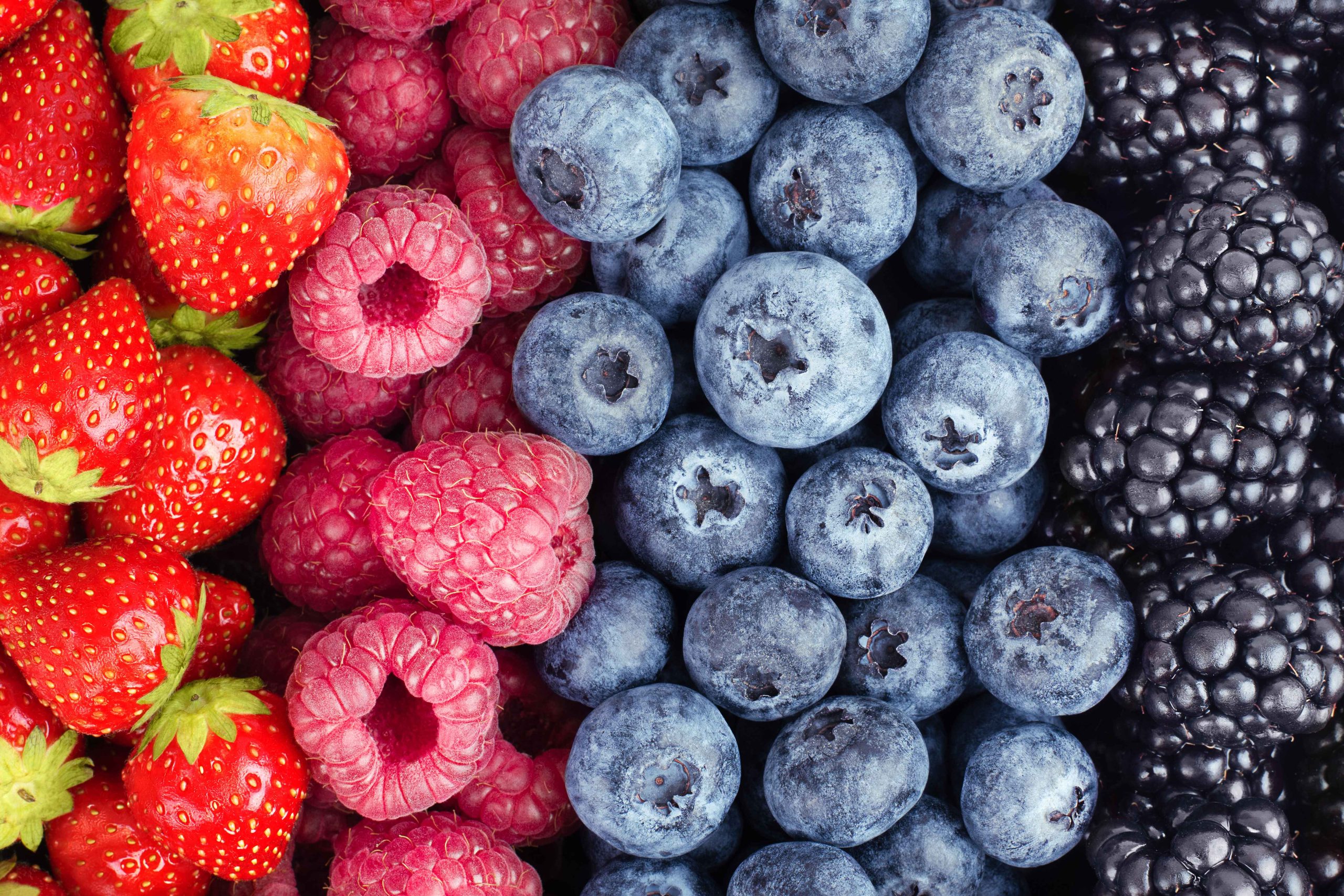 NYC Healthy Vending | Boston Food Snacks | Low Carb